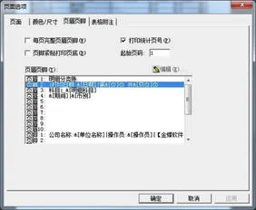 金蝶明细账页面设置尺寸