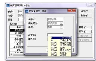 金蝶kis怎么增加核算项目 | 如何在