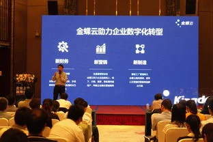 湖南金蝶软件科技有限公司