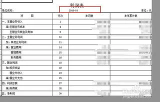 借支,金蝶,记录,查询