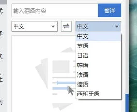 利用,翻译,wps