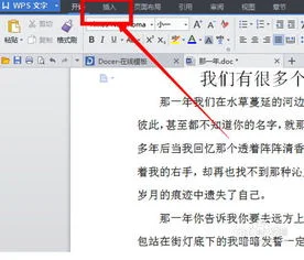 页码,增加,wpspdf