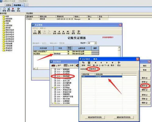 金蝶核算项目导出