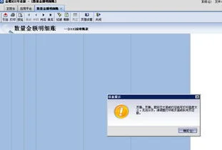 金蝶专业版不能打印账薄 | 金蝶凭