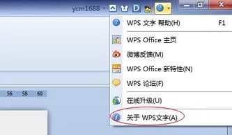 装了,如何使用,版本,电脑